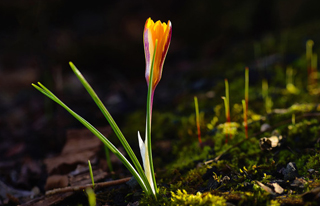 西安网站制作的基本要求有哪些？ 